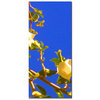 Trademark Fine Art Amy Vangsgard 'Flowering Tree I' B Canvas Art, 12x32 AV016B-C1232GG